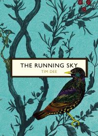 Book Cover for The Running Sky by Tim Dee