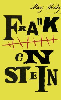 Book Cover for Frankenstein by Mary Wollstonecraft Shelley