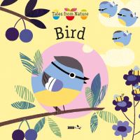 Book Cover for Bird by Olivia Cosneau