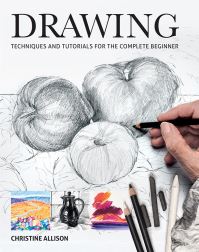 Book Cover for Drawing by Christine Allison