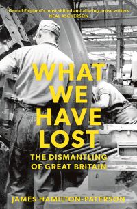 Book Cover for What We Have Lost by James HamiltonPaterson