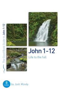 Book Cover for Life to the Full by Josh Moody