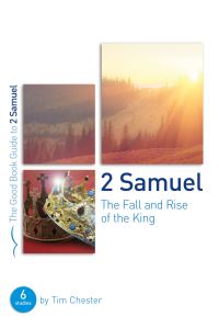 Book Cover for The Fall and Rise of the King by Tim Chester