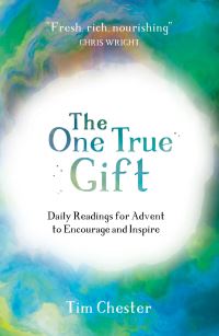 Book Cover for The One True Gift by Tim Chester