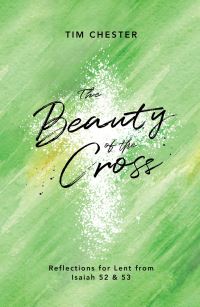 Book Cover for The Beauty of the Cross by Tim Chester