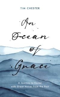 Book Cover for An Ocean of Grace by Tim Chester