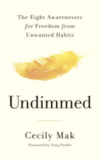 Book Cover for Undimmed by Cecily Mak