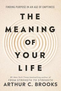 Book Cover for The Meaning of Your Life by Arthur C Brooks
