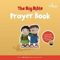 Book Cover for The Big Bible Prayer Book by Gemma Willis