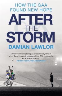 Book Cover for After the Storm by Damian Lawlor