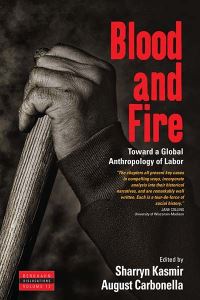 Book Cover for Blood and Fire by Sharryn Kasmir, August Carbonella