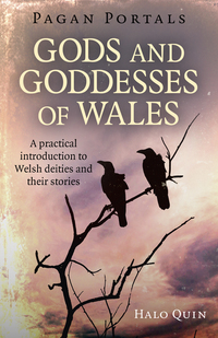 Book Cover for Gods and Goddesses of Wales by Halo Quin