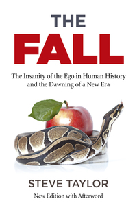 Book Cover for The Fall by Steve Taylor