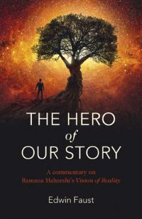 Book Cover for The Hero of Our Story by Edwin Faust
