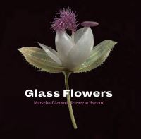 Book Cover for Glass Flowers by Jennifer Brown, Scott E. Fulton, Donald H. Pfister, Harvard University