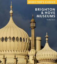 Book Cover for Brighton & Hove Museums by Hedley Swain
