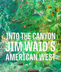 Book Cover for Into the Canyon by Andrew Walker, Phoenix Art Museum