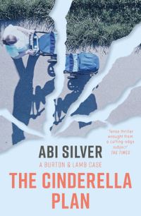 Book Cover for The Cinderella Plan by Abi Silver