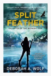 Book Cover for Split Feather by Deborah A Wolf