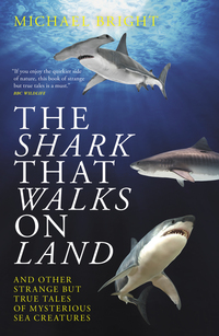 Book Cover for The Shark That Walks on Land by Michael Bright