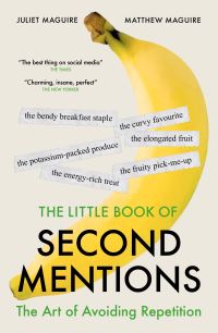 Book Cover for The Little Book of Second Mentions by Juliet Maguire, Matthew Maguire