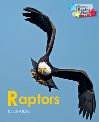 Book Cover for Raptors by 