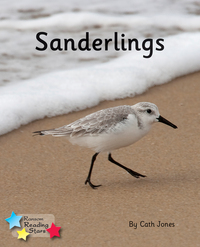 Book Cover for Sanderlings by Cath Jones, Jones Cath