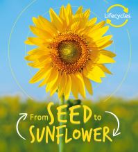 Book Cover for From Seed to Sunflower by Camilla De la Bédoyère