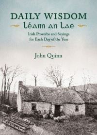 Book Cover for Daily Wisdom - Léann an Lae by John Quinn
