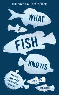 Book Cover for What a Fish Knows by Jonathan Balcombe