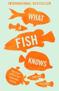 Book Cover for What a Fish Knows by Jonathan Balcombe