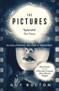 Book Cover for The Pictures by Guy Bolton