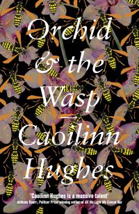 Book Cover for Orchid & The Wasp by Caoilinn Hughes