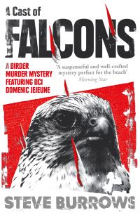 Book Cover for A Cast of Falcons by Steve Burrows