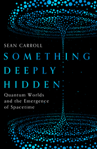 Book Cover for Something Deeply Hidden by Sean Carroll