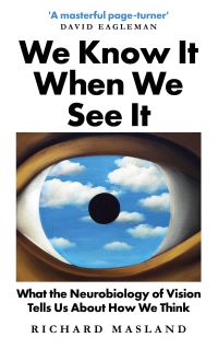 Book Cover for We Know It When We See It by Richard H Masland