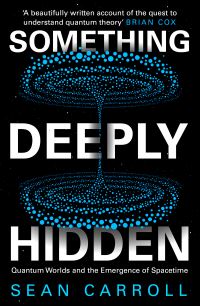 Book Cover for Something Deeply Hidden by Sean Carroll