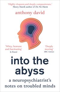 Book Cover for Into the Abyss by Anthony S David