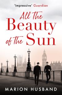 Book Cover for All the Beauty of the Sun by Marion Husband