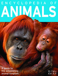 Book Cover for Encyclopedia of Animals by Camilla De la Bédoyère
