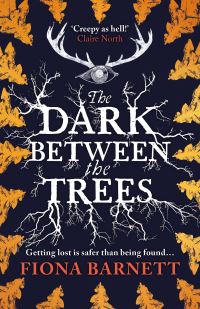 Book Cover for The Dark Between the Trees by Fiona Barnett