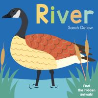 Book Cover for River by Sarah Dellow