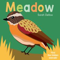 Book Cover for Meadow by Sarah Dellow
