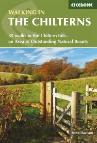 Book Cover for Walking in the Chilterns by Steve Davison