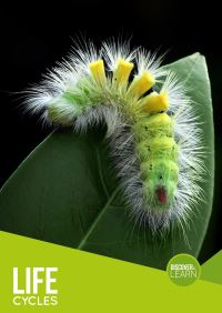 Book Cover for Life Cycles by Grace Jones