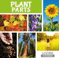 Book Cover for Plant Parts by Steffi CavellClarke