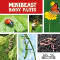 Book Cover for Minibeast Body Parts by Steffi CavellClarke