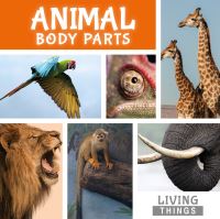 Book Cover for Animal Body Parts by Steffi CavellClarke