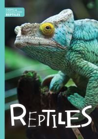 Book Cover for Reptiles by Steffi CavellClarke