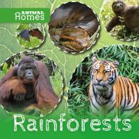 Book Cover for Rainforests by John Wood